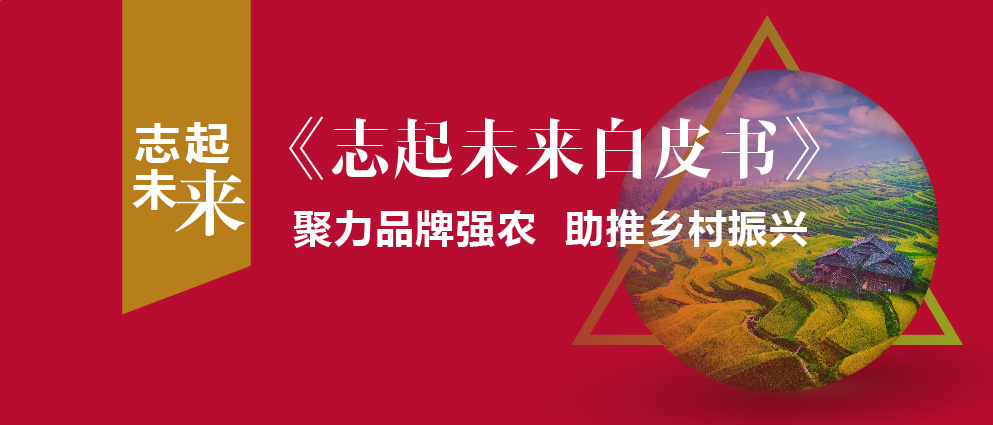 志起未來客戶:為何同福集團能成為鄉(xiāng)村振興的典范？